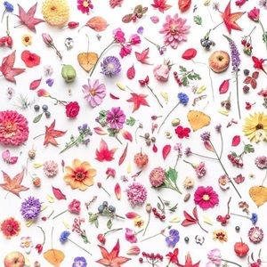 Meet your Posher, Amelia